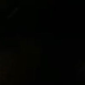 Meet your Posher, Leila